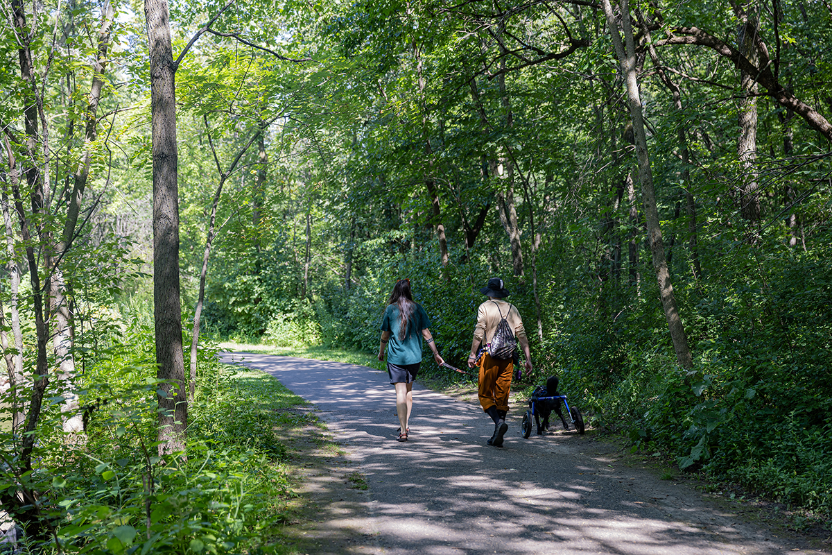 A couple walking down a paved, tree-lined trail on a sunny day, with a baby walker in tow.